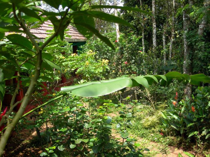 thekkady