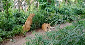 trivandrum