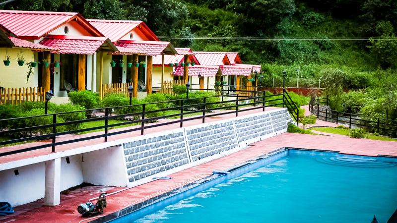 the jungle pool