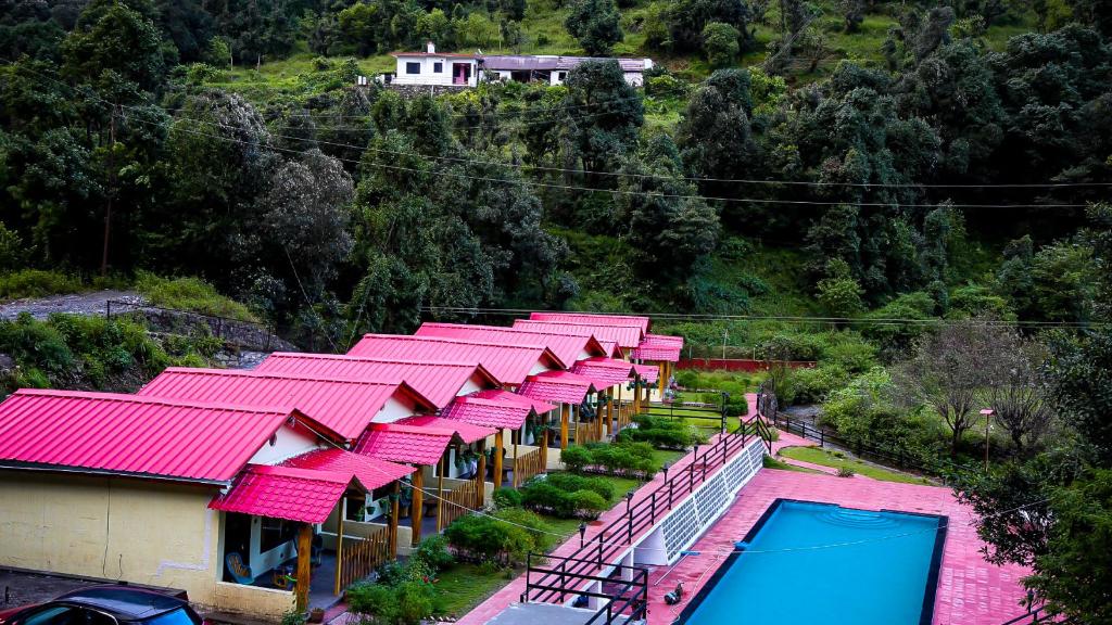 the jungle pool