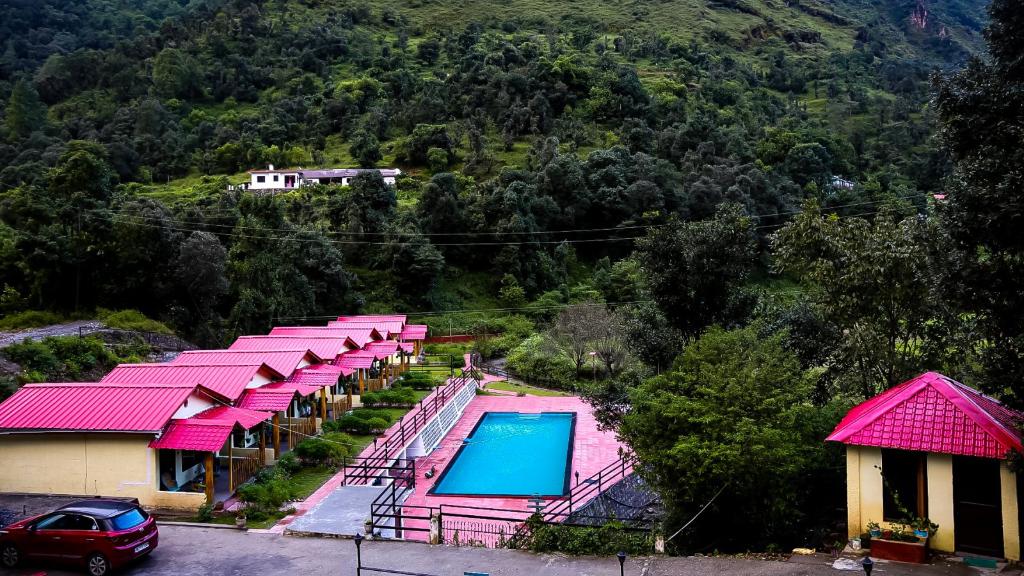 the jungle pool