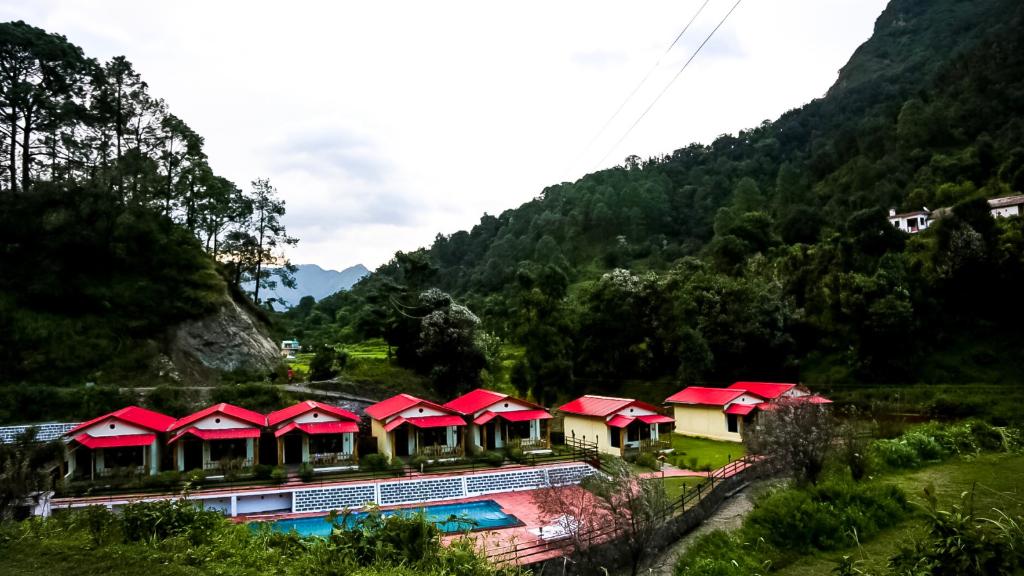 the jungle pool