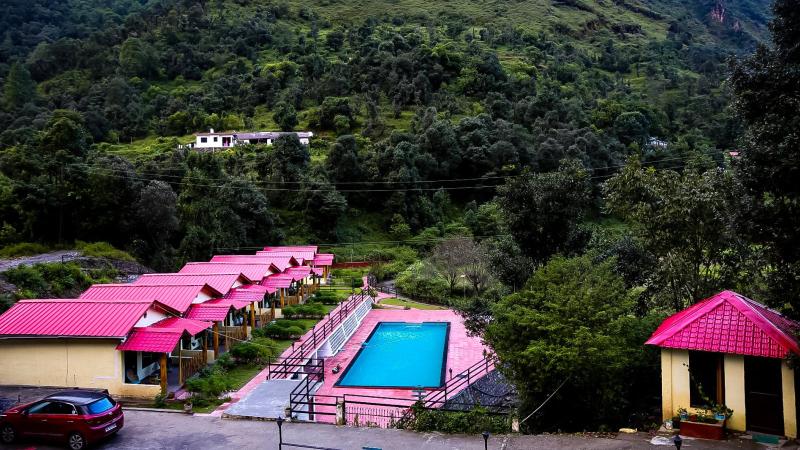 the jungle pool