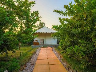 Ranthambore Tiger Inn Comfort Resort,,3.5 star