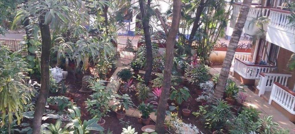 candolim
