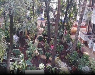 candolim