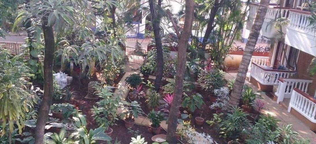 candolim
