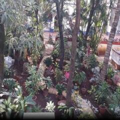 candolim