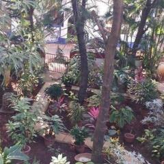 candolim