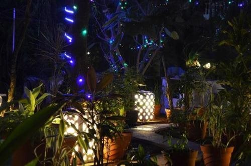 candolim