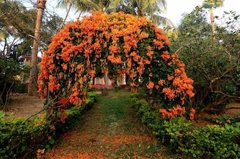 the garden bungalow