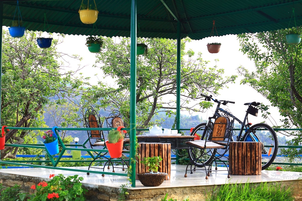 the chirping orchard