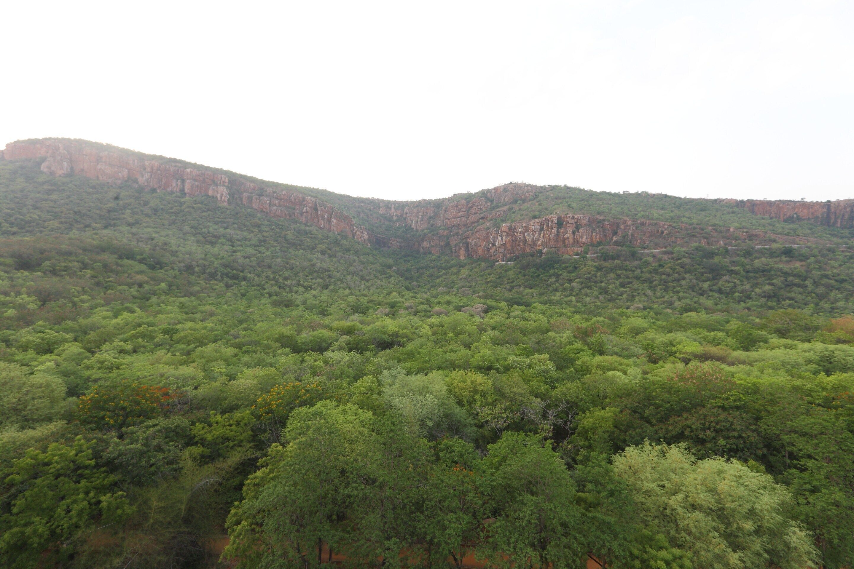 hotel ramcharan residency