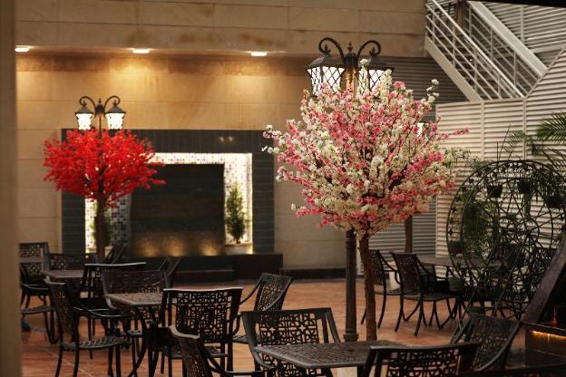 comfort hotel gms grand