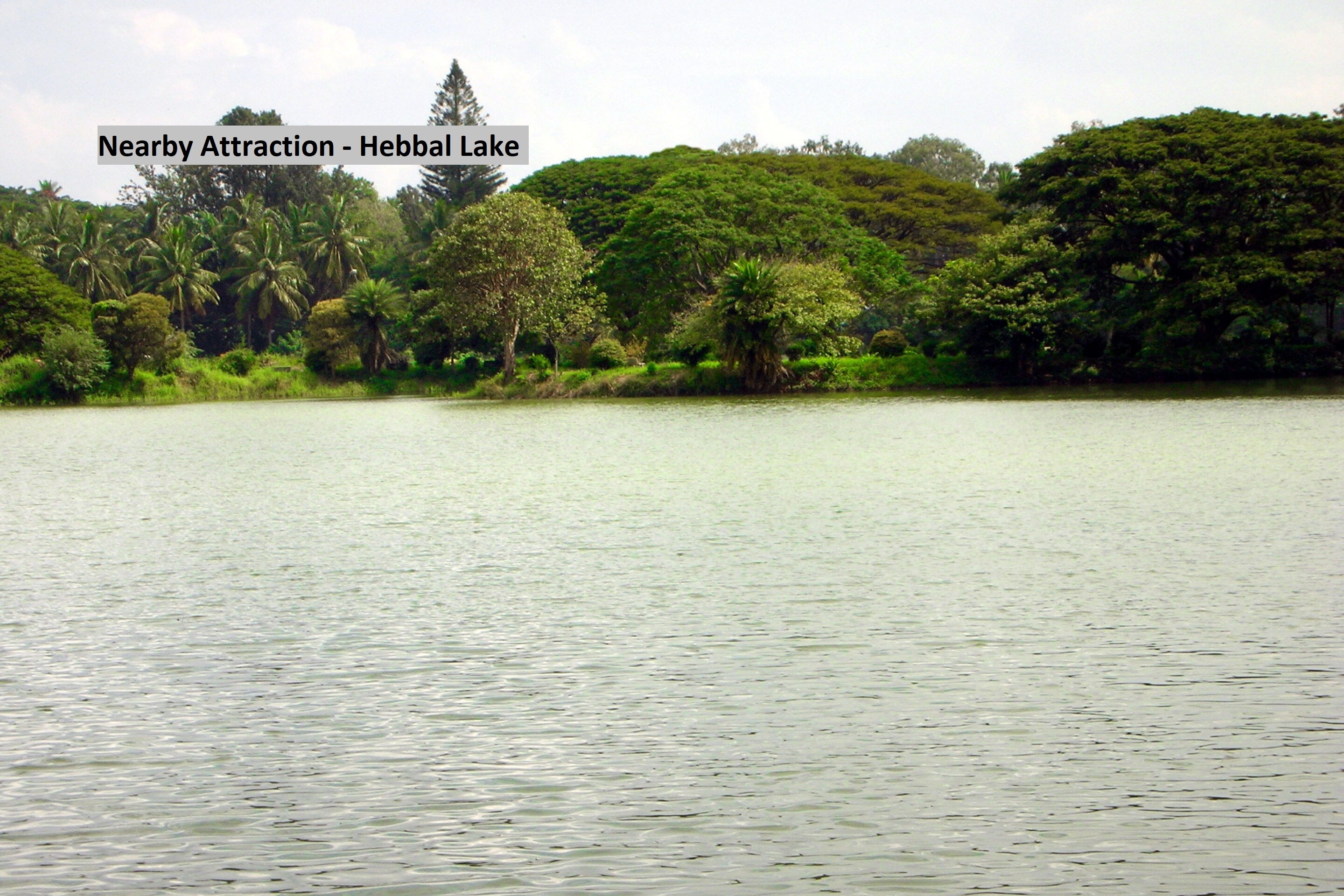 sri venkatadri residency
