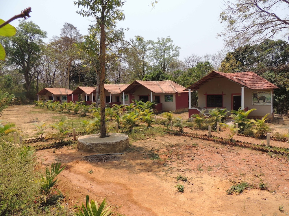 jungle nest homestay
