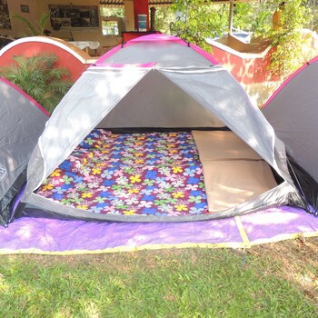 jungle nest homestay