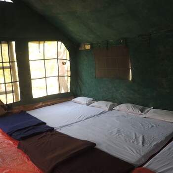 jungle nest homestay