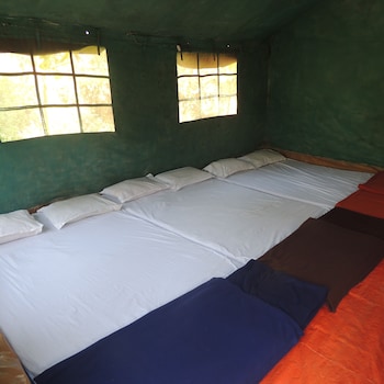 jungle nest homestay