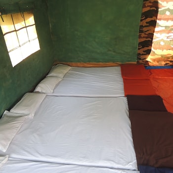 jungle nest homestay