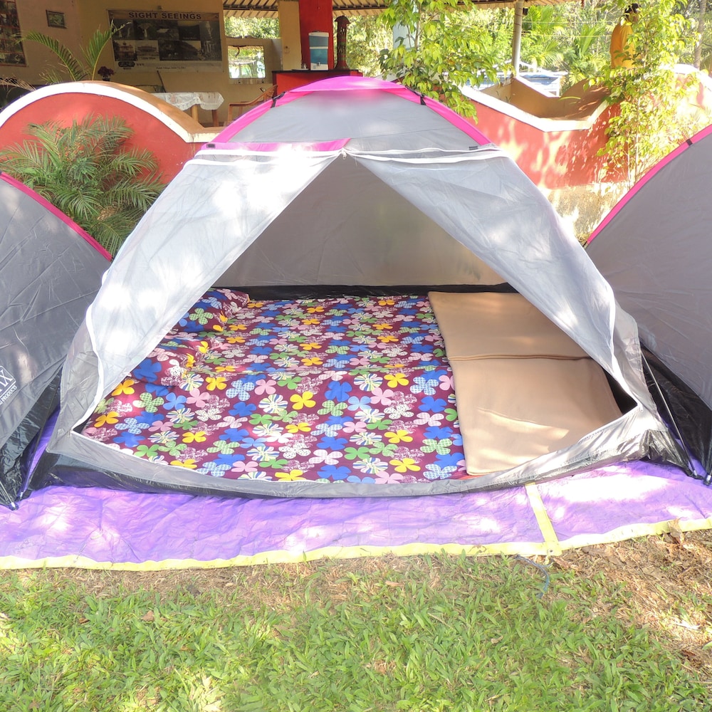 jungle nest homestay