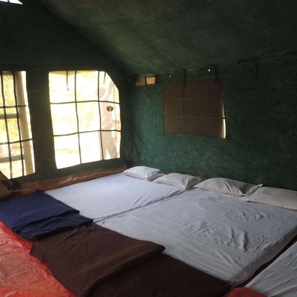 jungle nest homestay