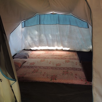 jungle nest homestay