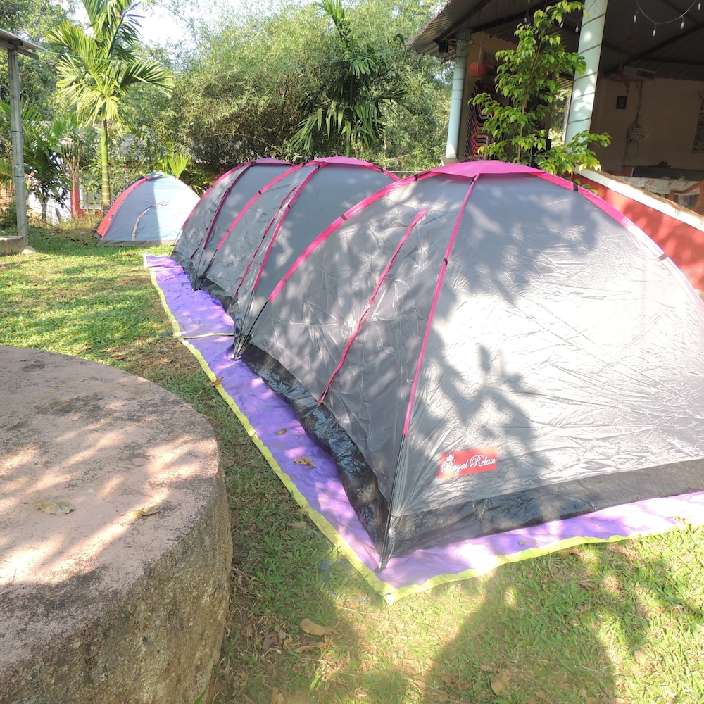 jungle nest homestay