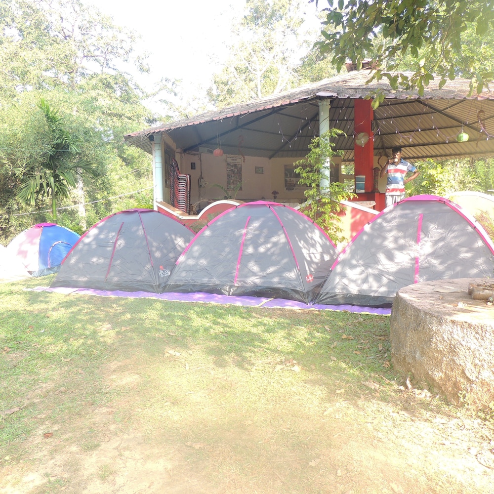 jungle nest homestay