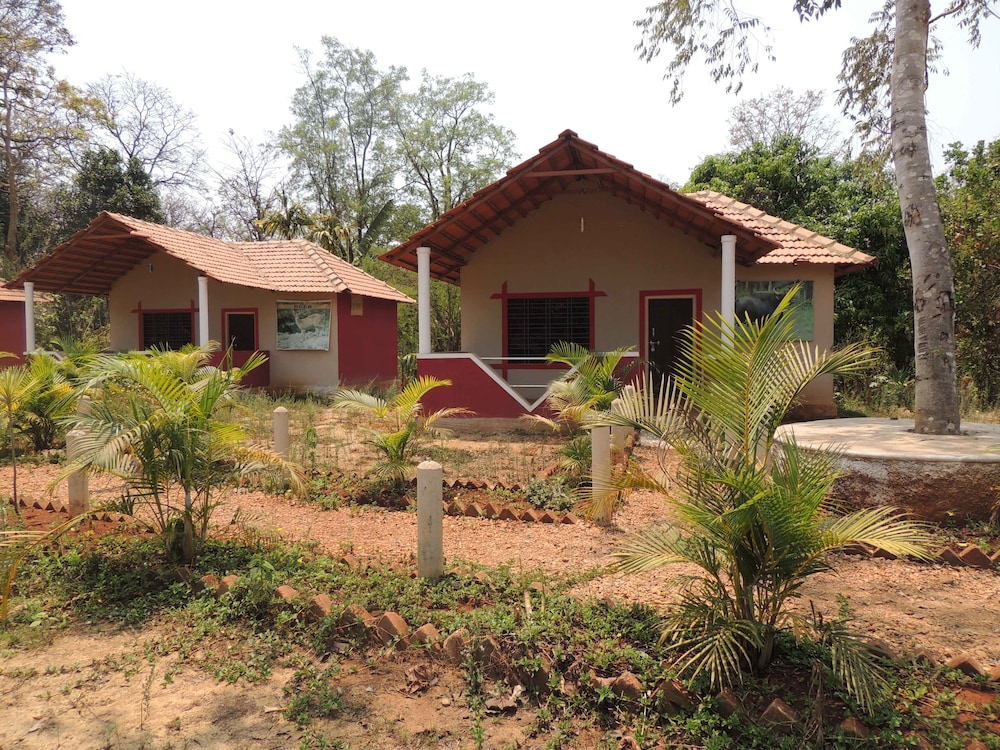 jungle nest homestay