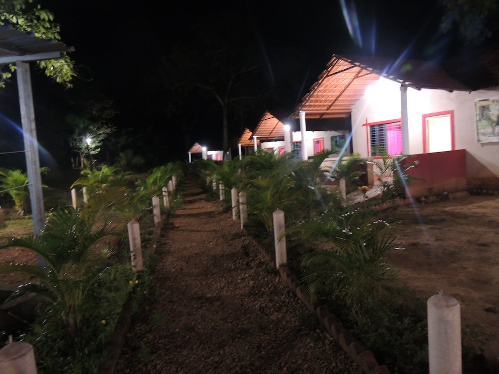 jungle nest homestay