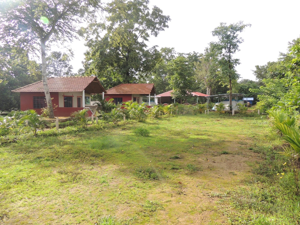 jungle nest homestay