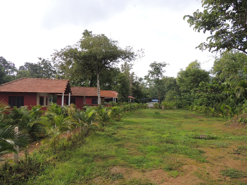 jungle nest homestay