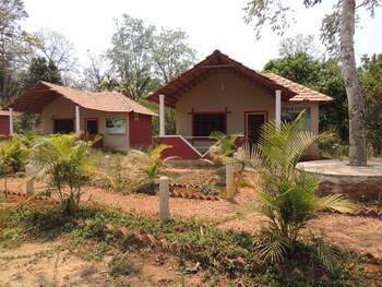 jungle nest homestay