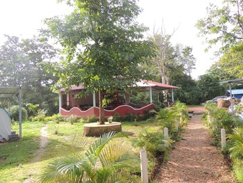 jungle nest homestay