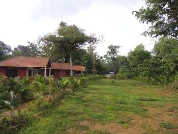 jungle nest homestay