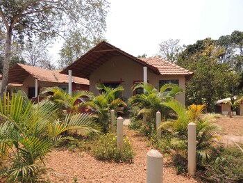 jungle nest homestay