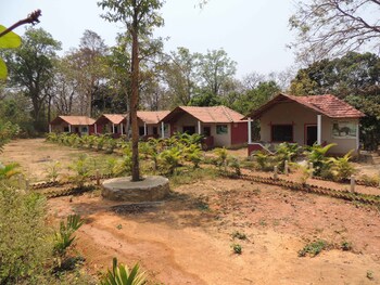 jungle nest homestay