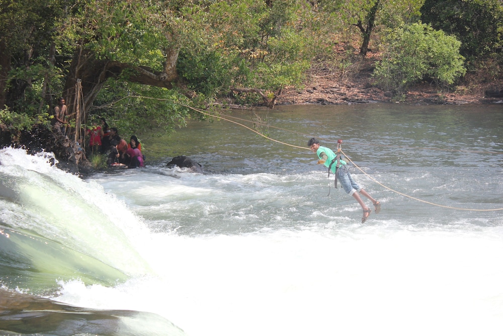 jungle nest homestay