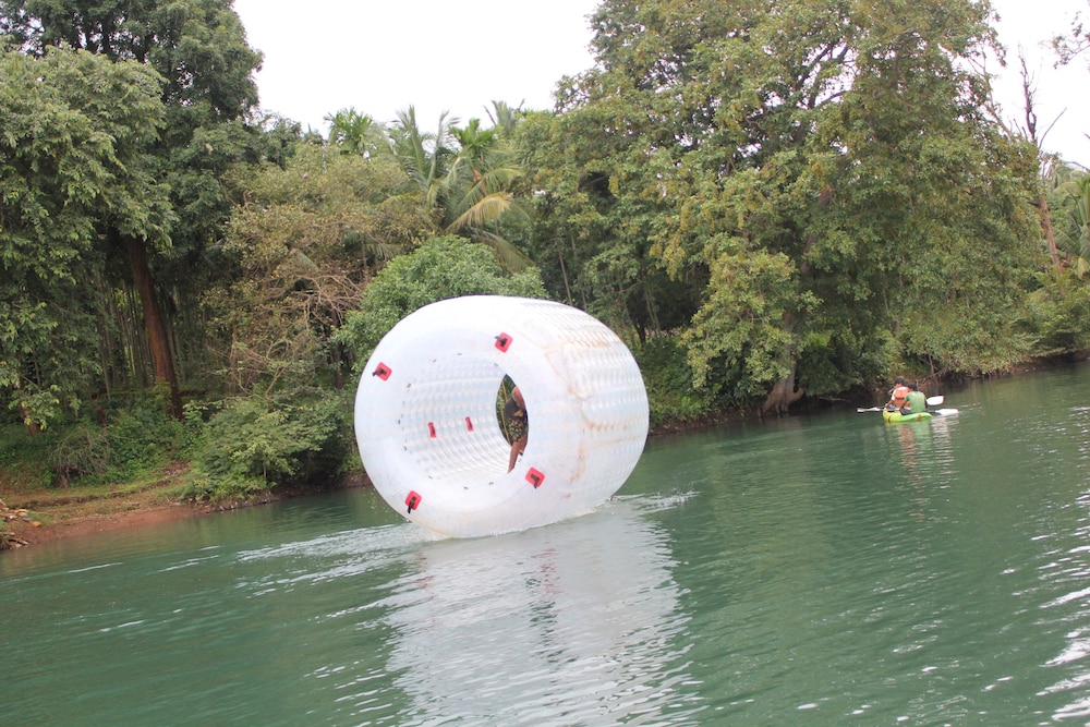 jungle nest homestay