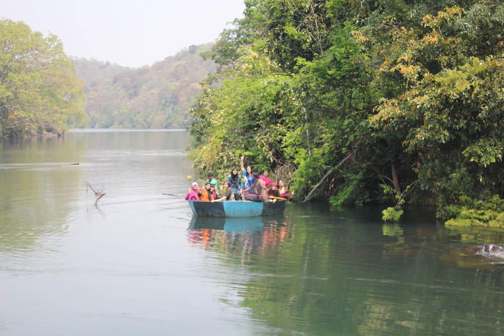 jungle nest homestay