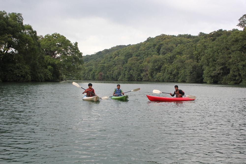 jungle nest homestay