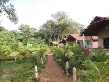 jungle nest homestay