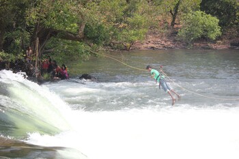 jungle nest homestay