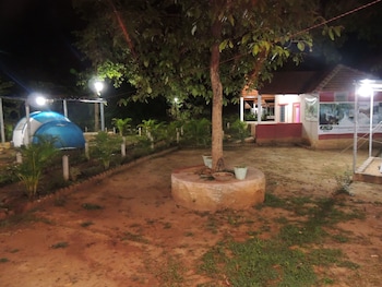 jungle nest homestay