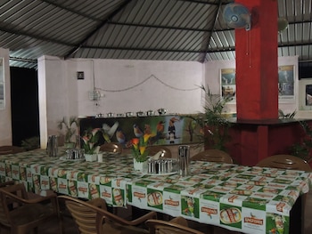 jungle nest homestay