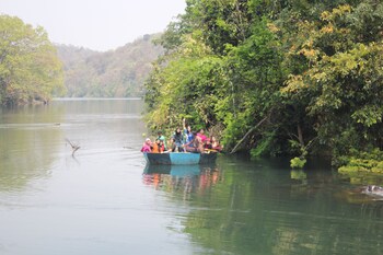 jungle nest homestay