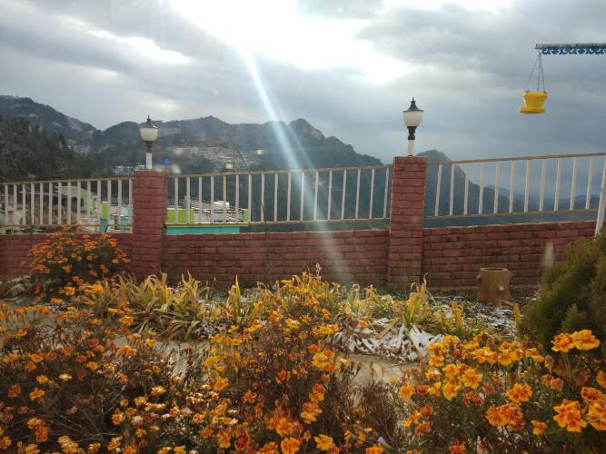 viewtoria resorts