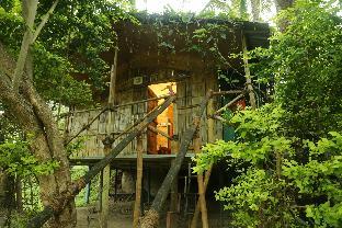 jungle paradise farm and guest house