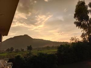 hotel divine palace pushkar